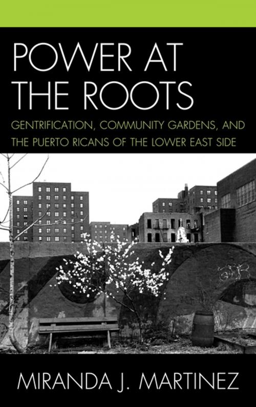 Cover of the book Power at the Roots by Miranda J. Martinez, Lexington Books
