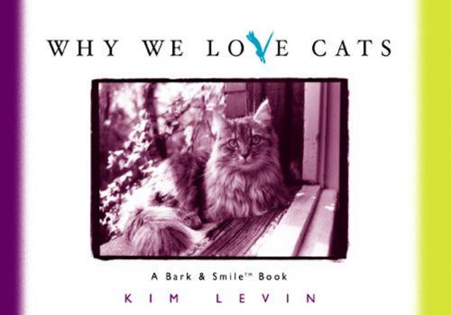 Cover of the book Why We Love Cats by Kim Levin, Andrews McMeel Publishing, LLC