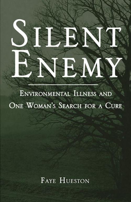 Cover of the book Silent Enemy by Faye Hueston, Infinity Publishing