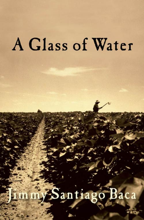 Cover of the book A Glass of Water by Jimmy Santiago Baca, Grove Atlantic
