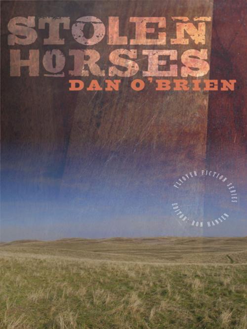 Cover of the book Stolen Horses by Dan O'Brien, UNP - Bison Original