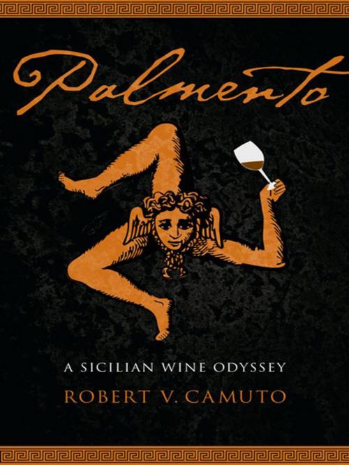 Cover of the book Palmento by Robert V. Camuto, UNP - Nebraska