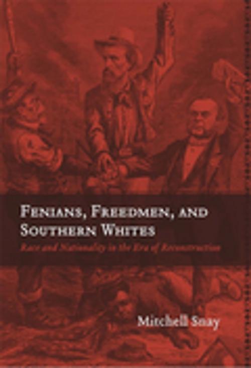 Cover of the book Fenians, Freedmen, and Southern Whites by Mitchell Snay, LSU Press