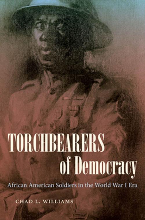 Cover of the book Torchbearers of Democracy by Chad L. Williams, The University of North Carolina Press
