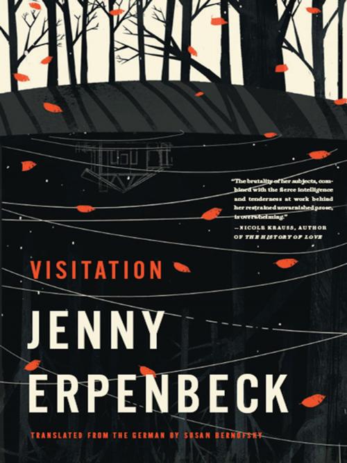 Cover of the book Visitation by Jenny Erpenbeck, New Directions