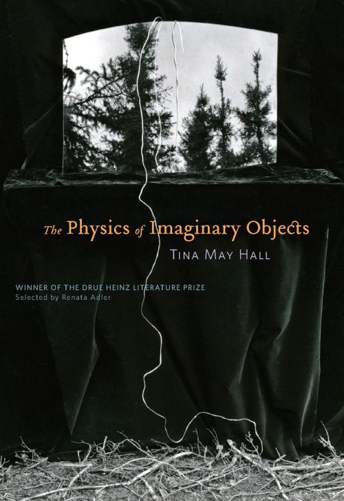 Cover of the book The Physics of Imaginary Objects by Tina May Hall, University of Pittsburgh Press