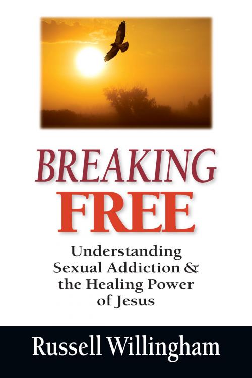 Cover of the book Breaking Free by Russell Willingham, IVP Books