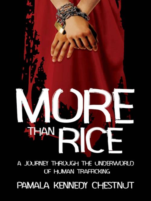 Cover of the book More Than Rice by Pamala Chestnut, Yorkshire Publishing