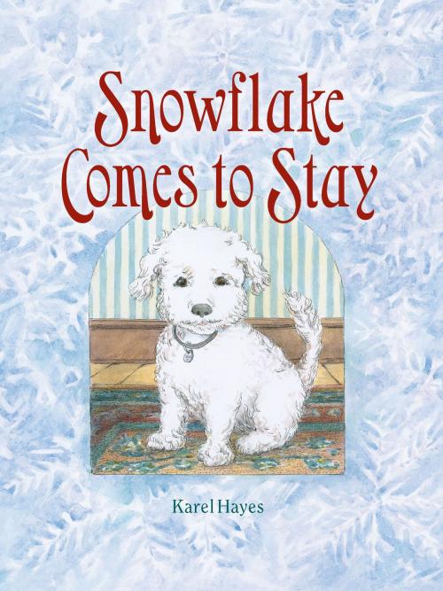 Cover of the book Snowflake Comes to Stay by Karel Hayes, Down East Books