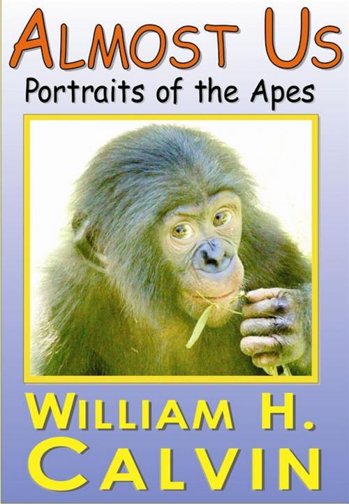 Cover of the book Almost Us: Portraits Of The Apes by William H. Calvin, WilliamCalvin.org