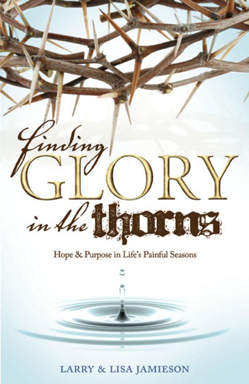 Cover of the book Finding Glory in the Thorns by Larry Jamieson, Lisa Jamieson, Walk Right In Ministries, Inc.