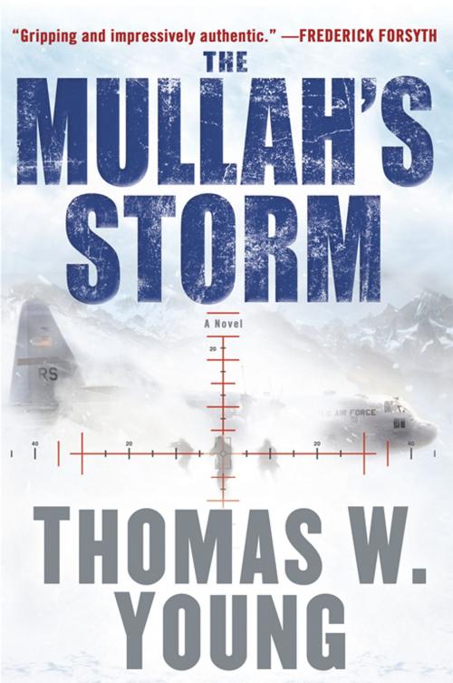 Cover of the book The Mullah's Storm by Tom Young, Penguin Publishing Group
