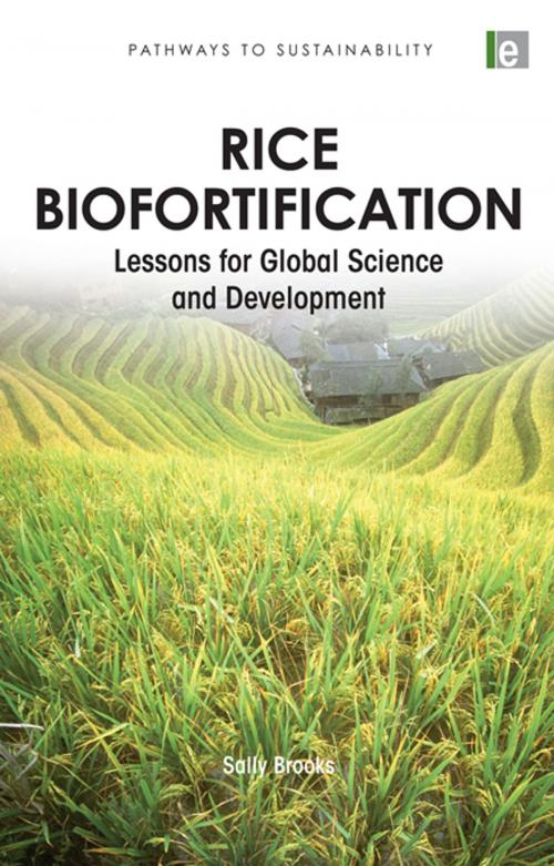 Cover of the book Rice Biofortification by Sally Brooks, Taylor and Francis
