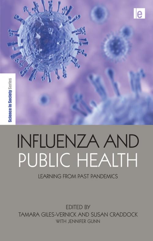Cover of the book Influenza and Public Health by , Taylor and Francis