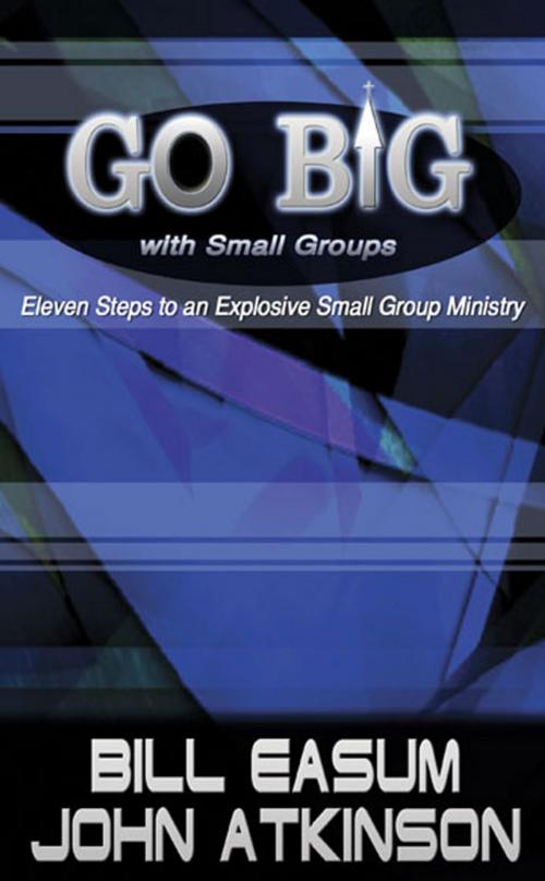 Cover of the book Go BIG with Small Groups by Bill Easum, John Atkinson, Abingdon Press