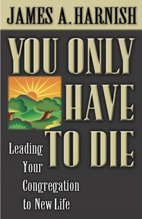 Cover of the book You Only Have to Die by James A. Harnish, James, A. Harnish, Abingdon Press