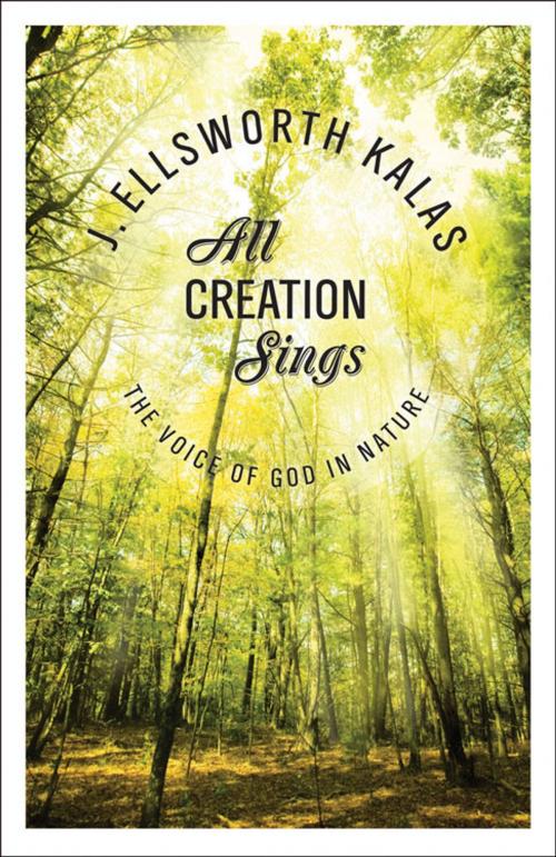 Cover of the book All Creation Sings by J. Ellsworth Kalas, Abingdon Press