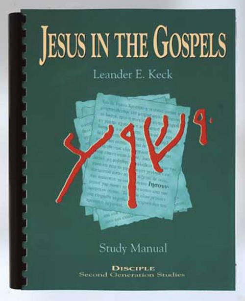 Cover of the book Jesus in the Gospels: Study Manual by Leander E. Keck, Nellie M. Moser, Abingdon Press