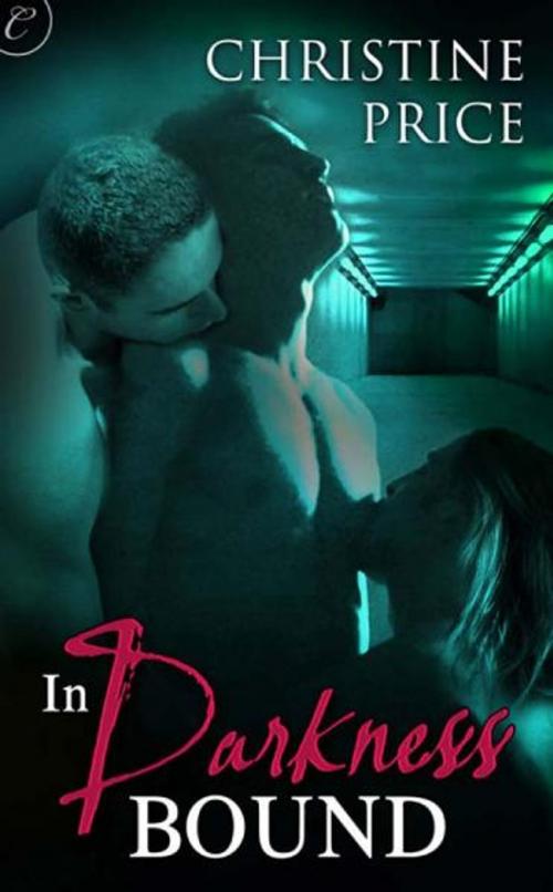 Cover of the book In Darkness Bound by Christine Price, Carina Press