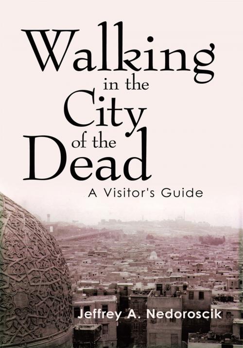 Cover of the book Walking in the City of the Dead by Jeffrey A. Nedoroscik, Trafford Publishing