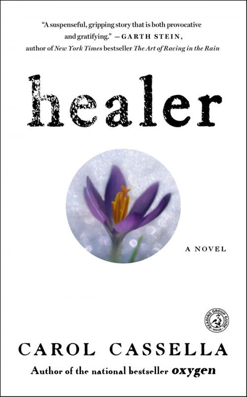 Cover of the book Healer by Carol Cassella, Simon & Schuster