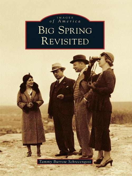 Cover of the book Big Spring Revisited by Tammy Burrow Schrecengost, Arcadia Publishing Inc.