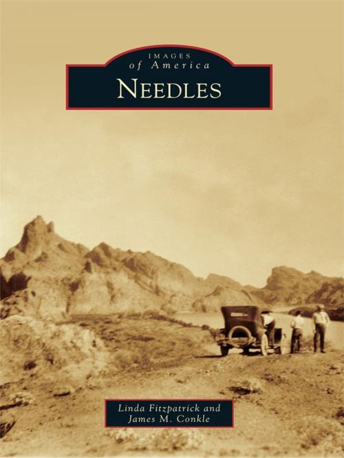 Cover of the book Needles by Linda Fitzpatrick, James M. Conkle, Arcadia Publishing Inc.