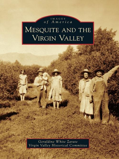 Cover of the book Mesquite and the Virgin Valley by Geraldine White Zarate, Virgin Valley Historical Committee, Arcadia Publishing Inc.