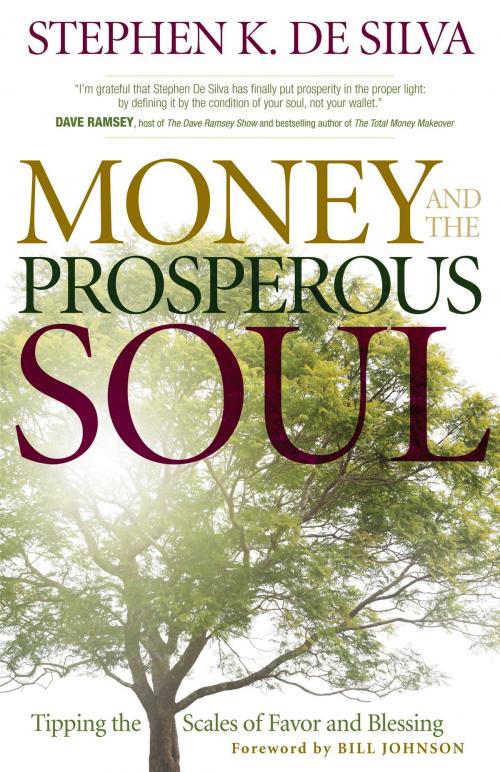 Cover of the book Money and the Prosperous Soul by Stephen K. De Silva, Baker Publishing Group