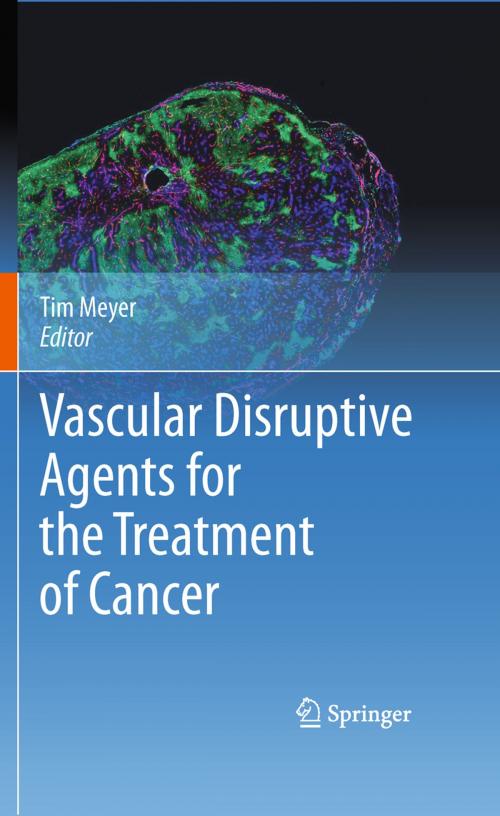 Cover of the book Vascular Disruptive Agents for the Treatment of Cancer by , Springer New York
