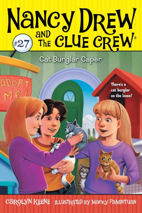 Cover of the book Cat Burglar Caper by Carolyn Keene, Aladdin