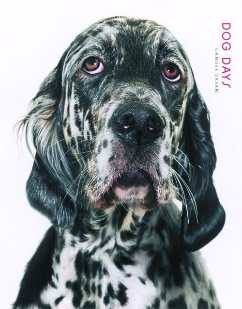 Cover of the book Dog Days by Gandee Vasan, PQ Blackwell, Ltd., Andrews McMeel Publishing, LLC