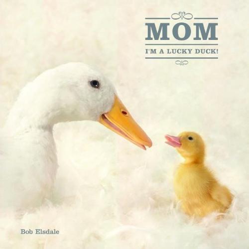 Cover of the book Mom, I'm a Lucky Duck by Bob Elsdale, PQ Blackwell, Ltd., Andrews McMeel Publishing, LLC