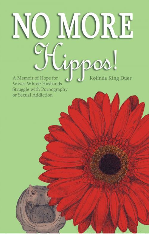 Cover of the book No More Hippos! by Kolinda King Duer, WestBow Press