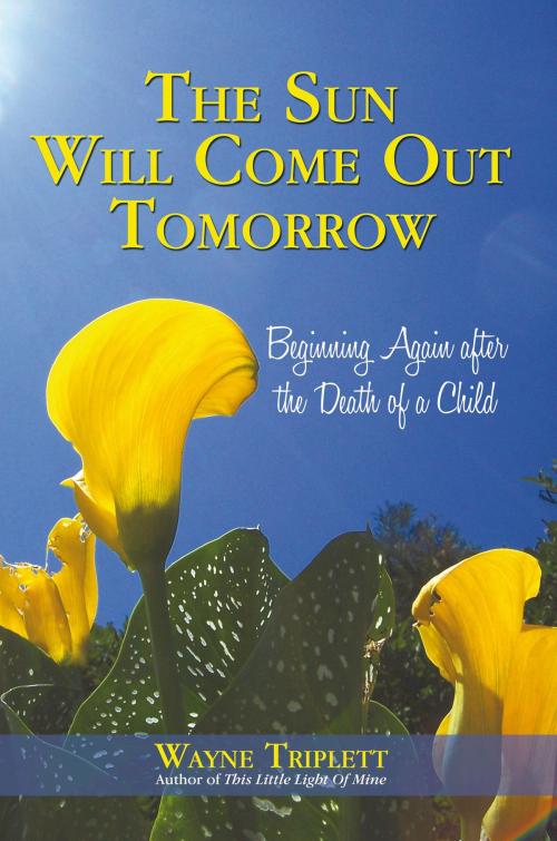 Cover of the book The Sun Will Come out Tomorrow by Wayne Triplett, iUniverse