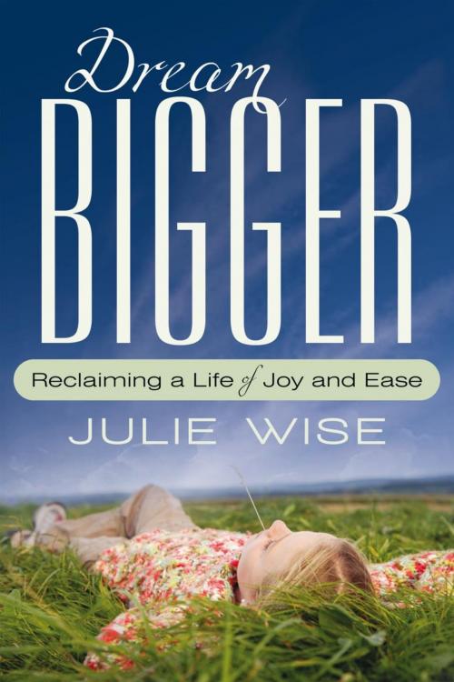 Cover of the book Dream Bigger by Julie Wise, iUniverse