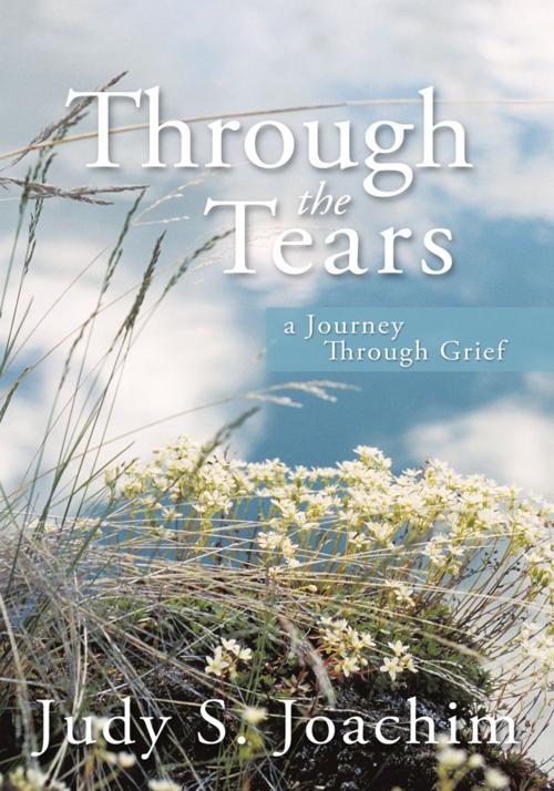 Cover of the book Through the Tears by Judy S. Joachim, iUniverse