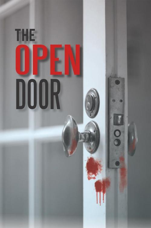 Cover of the book The Open Door by David W. Lewis, iUniverse