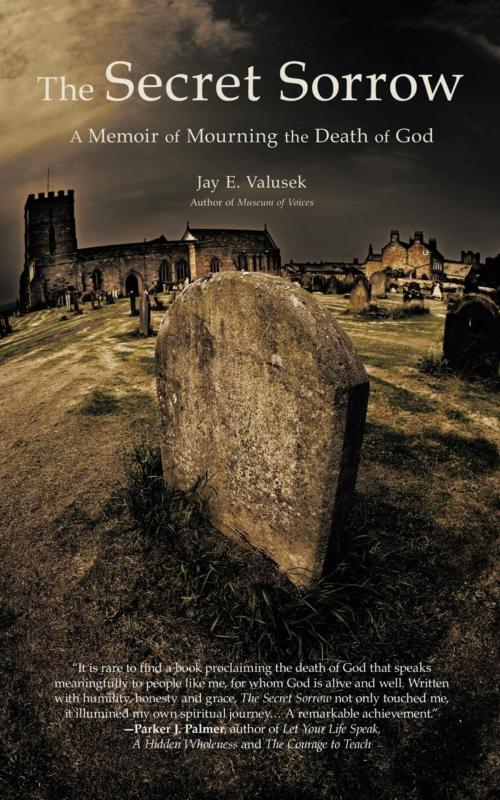 Cover of the book The Secret Sorrow by Jay E. Valusek, iUniverse