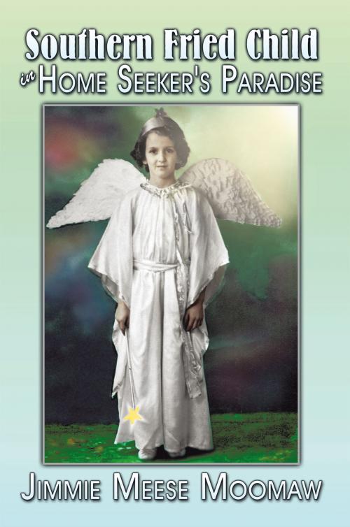 Cover of the book Southern Fried Child in Home Seeker's Paradise by Jimmie Meese Moomaw, AuthorHouse