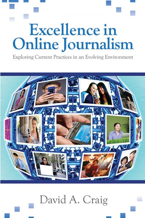 Cover of the book Excellence in Online Journalism by Dr. David A. Craig, SAGE Publications