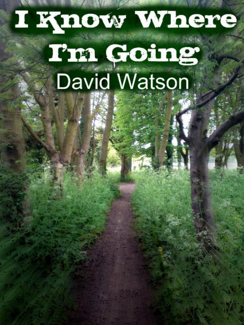 Cover of the book I Know Where I'm Going by David Watson, Gilead Books Publishing
