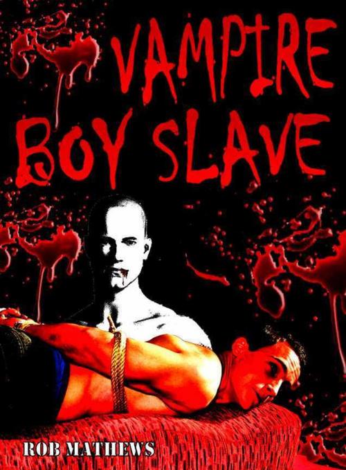 Cover of the book Vampire Boy Slave by Rob Mathews, Swordworks & Miro Books