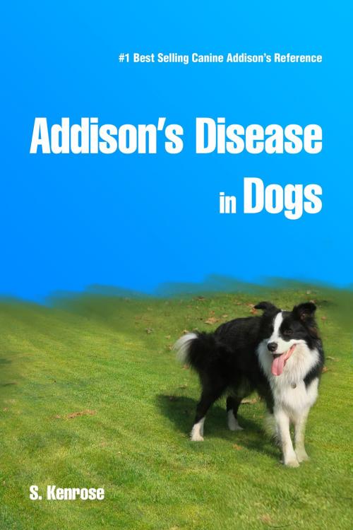 Cover of the book Addison's Disease in Dogs by Stephanie Kenrose, Andale LLC