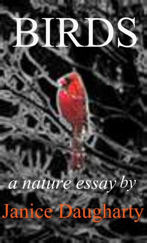 Cover of the book Birds in Migration: a descriptive nature essay by Janice Daugharty, Janice Daugharty