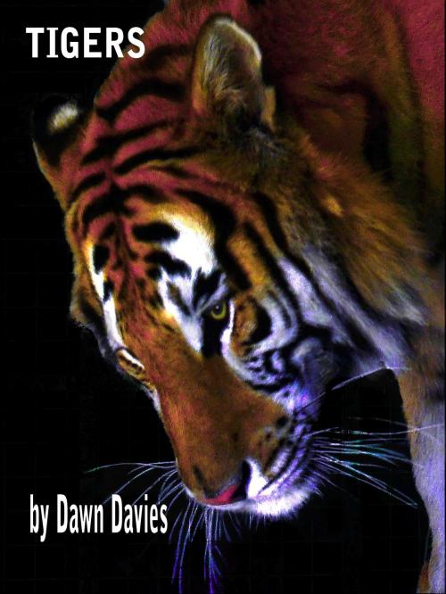 Cover of the book Tigers by Dawn B Davies, Dawn B Davies