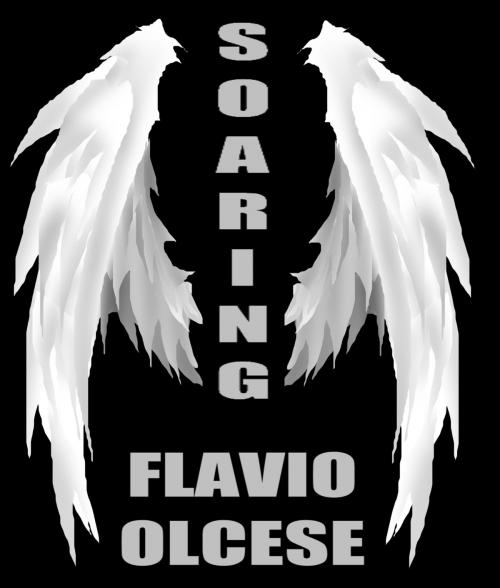 Cover of the book Soaring by Flavio Olcese, Flavio Olcese