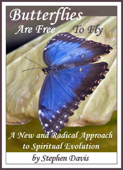 Cover of the book Butterflies Are Free To Fly: A New and Radical Approach to Spiritual Evolution by Stephen Davis, Stephen Davis