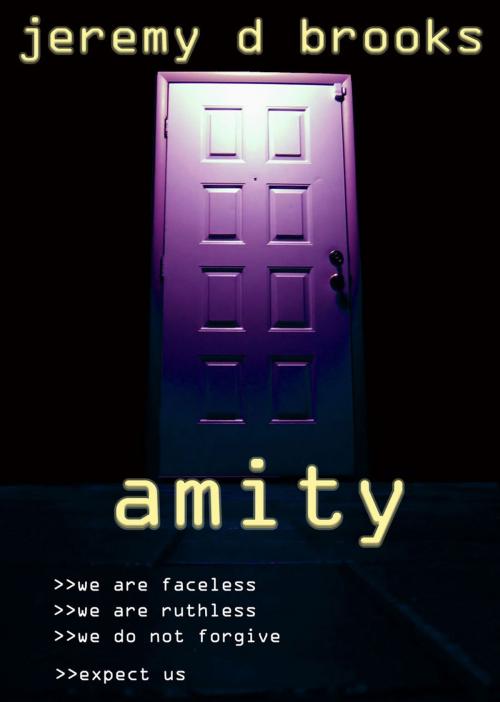 Cover of the book Amity by Jeremy Brooks, Jeremy Brooks