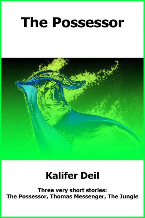 Cover of the book The Possessor by Kalifer Deil, Kalifer Deil
